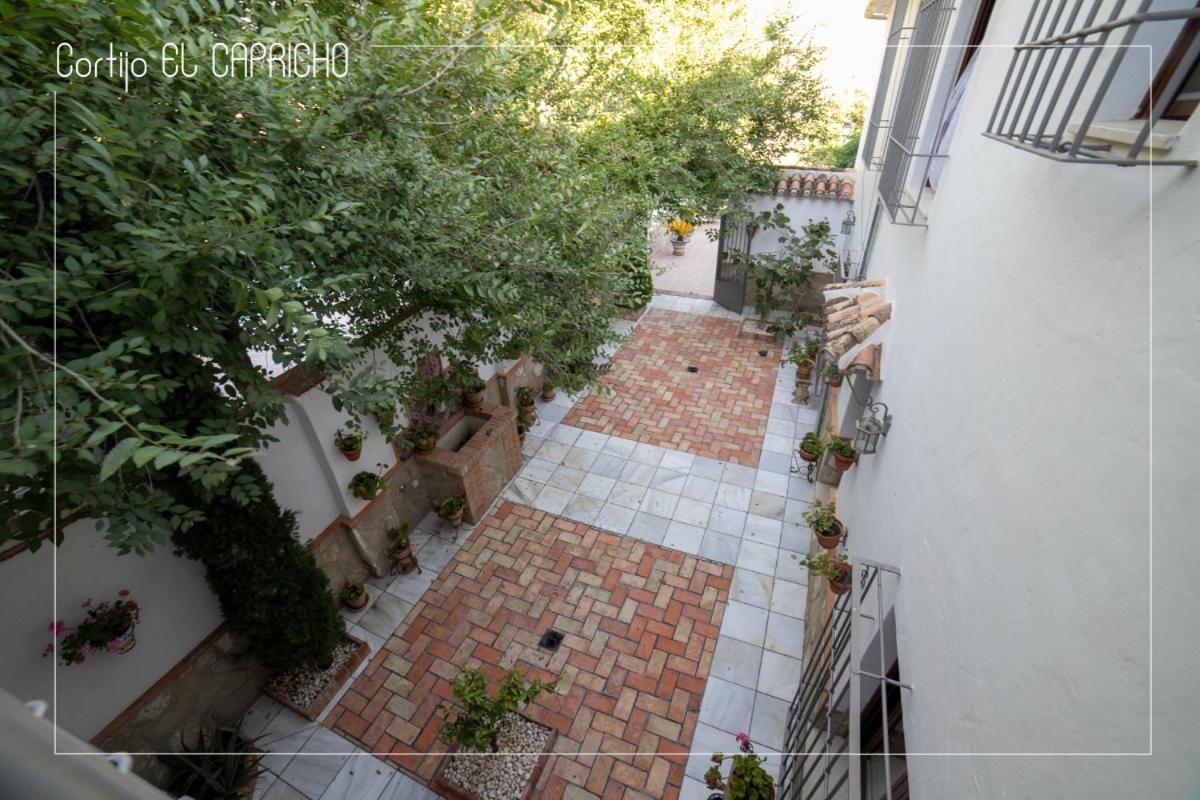 Cortijo El Segador Y El Capricho Villa Almedinilla Ngoại thất bức ảnh