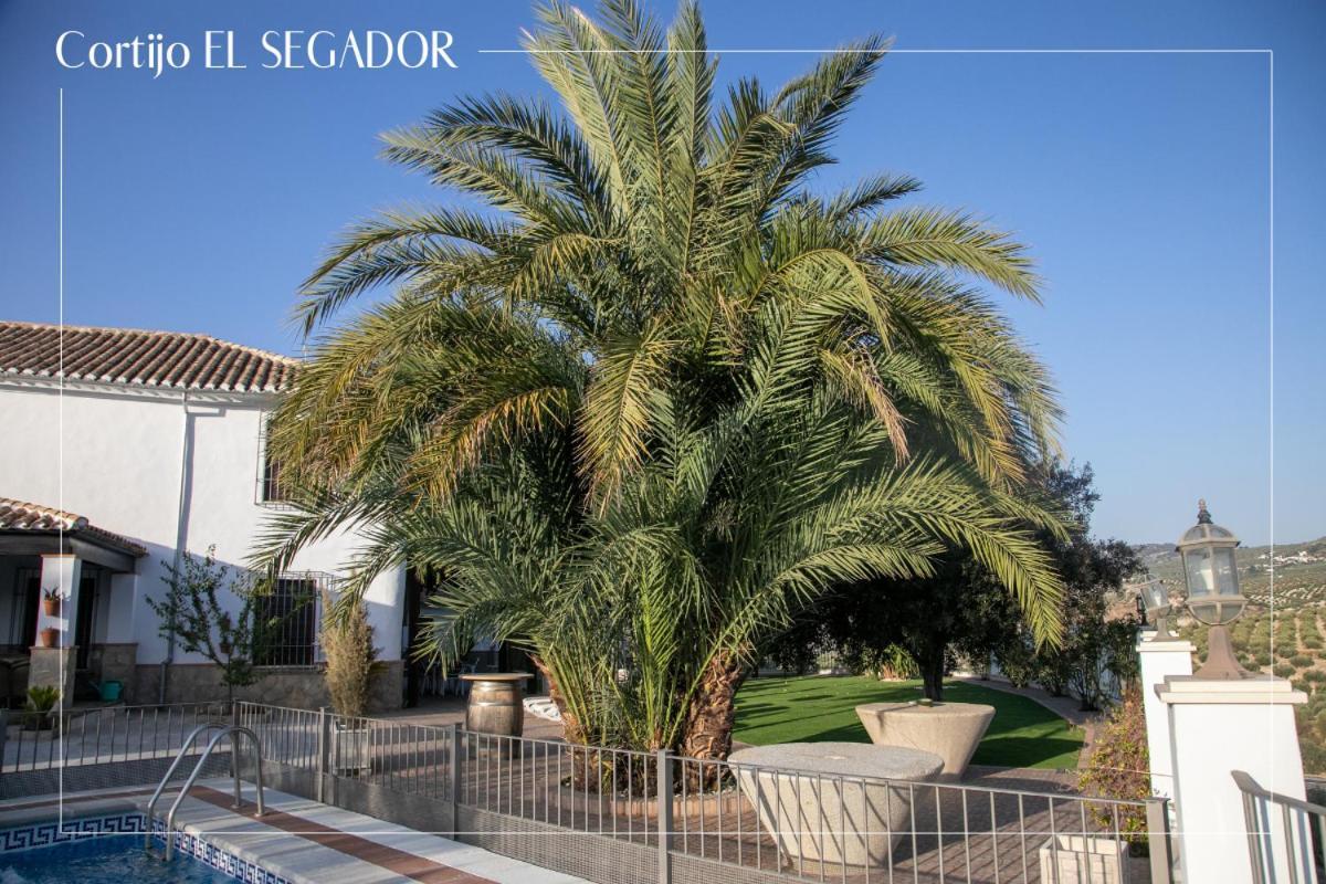 Cortijo El Segador Y El Capricho Villa Almedinilla Ngoại thất bức ảnh